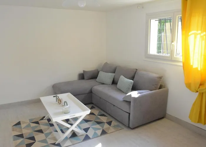 Fleur Des Pins - 2 - 3 Etoiles Banc D Arguin 구장메스트라